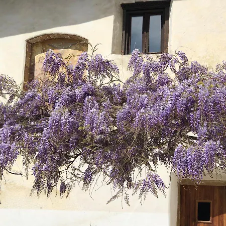 Agropobitzer Farm stay